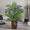 3ft. Paradise Palm Tree with Decorative Planter